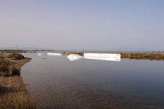 WakePark Le Barcares (FR)